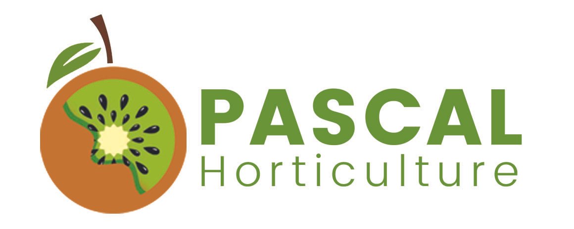 PASCAL Logo Design