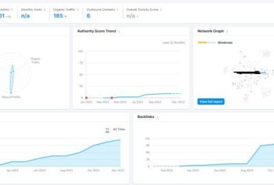 SEO backlink report showing domain authority growth