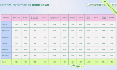Social_Media_Report_Template_____Example_____Performance_Breakdown_____All_Channels